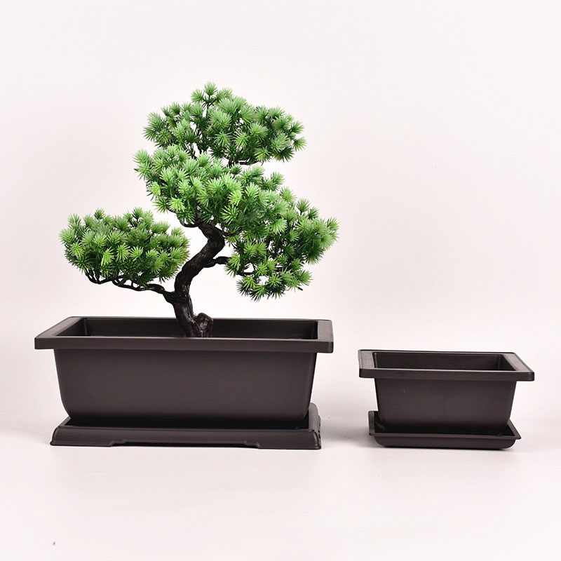 Bonsai Pot laukizuzena